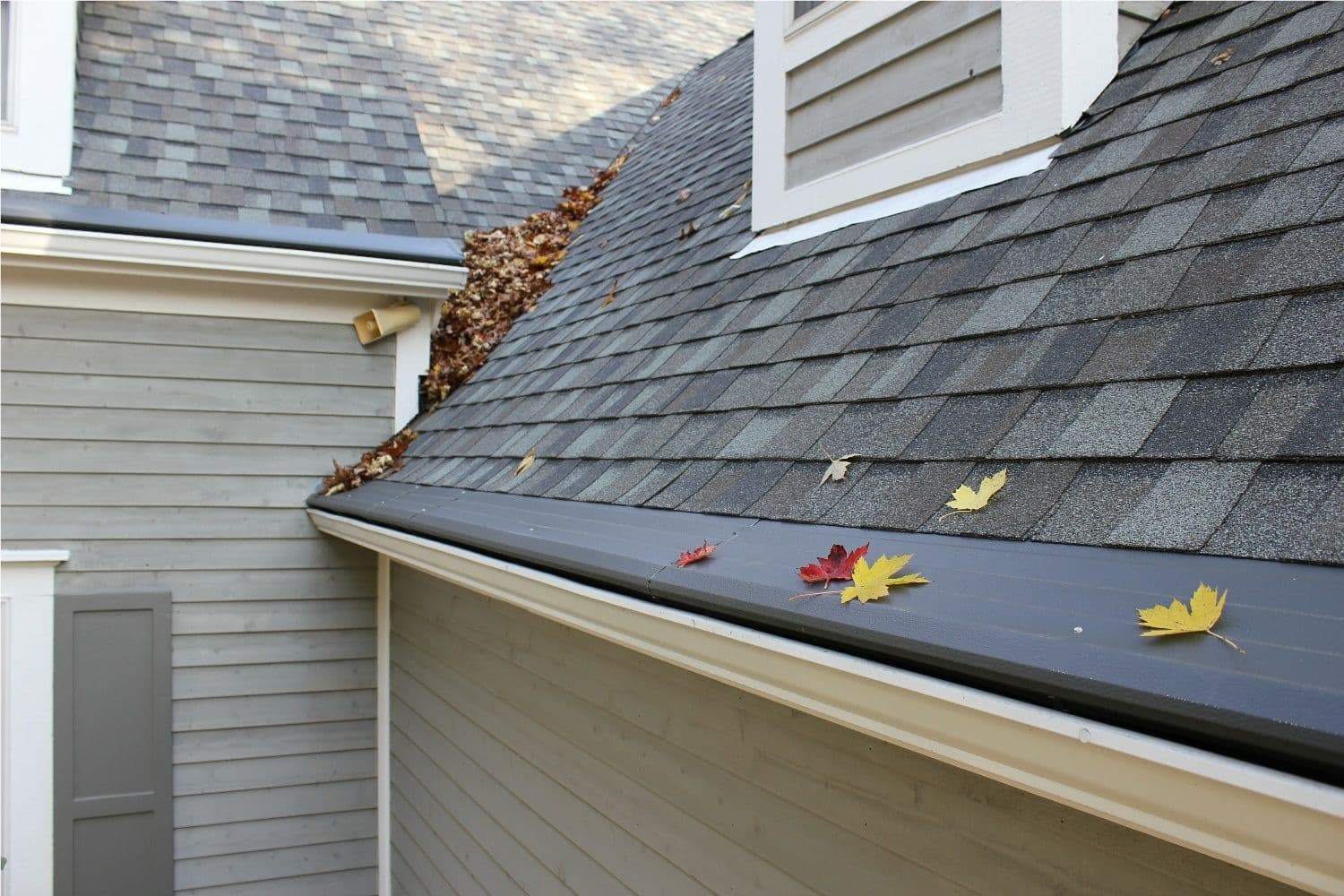 Gutter Helmet