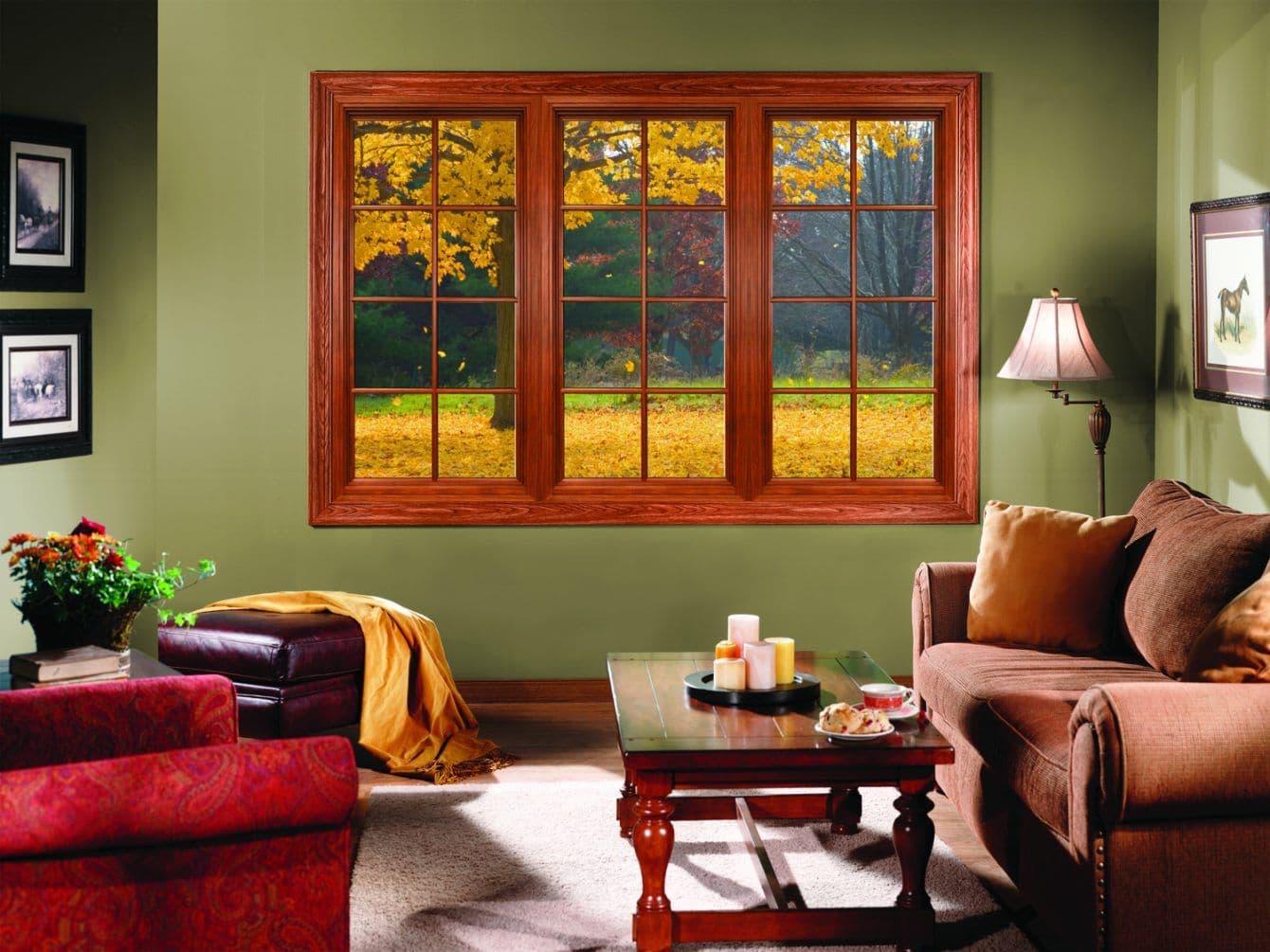 Window