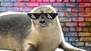 Seal