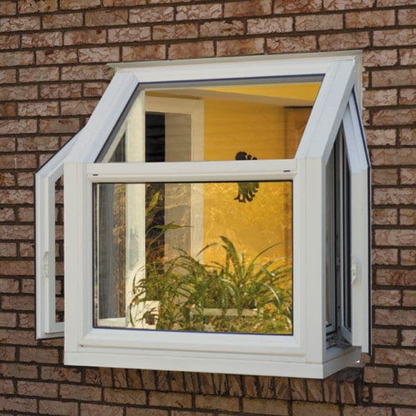 Window