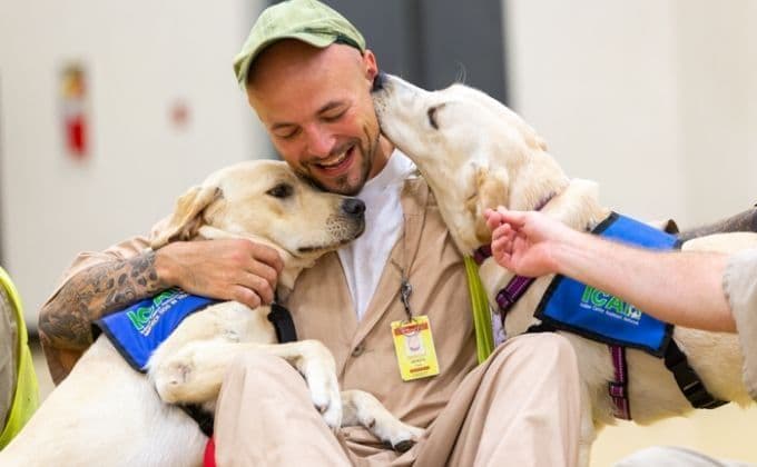 icandog_9y85049c5i7eosrur4zekl-680x420.jpg