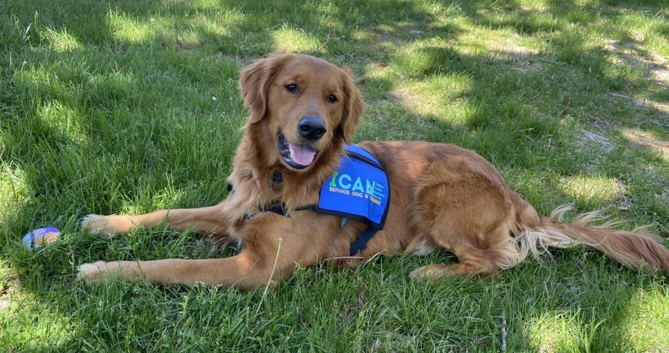 ICAN Charity
