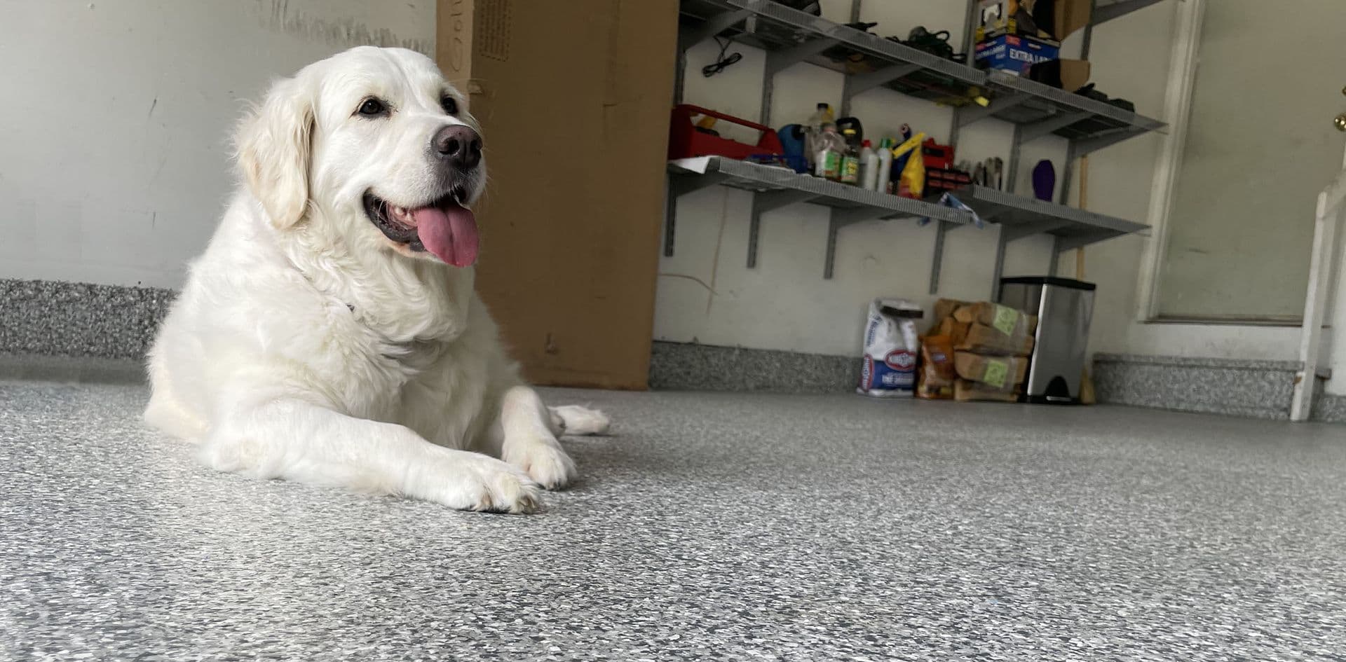 Floor Coating